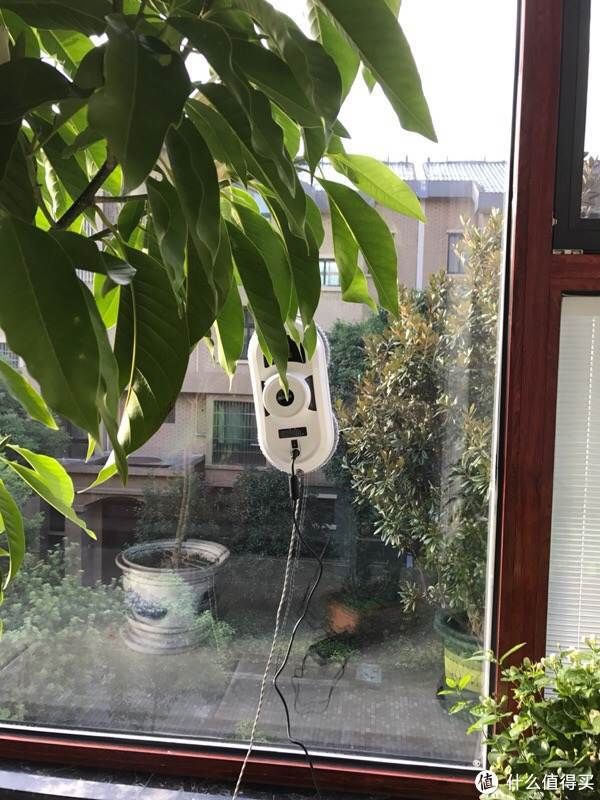 不能长伴，心中有爱——三八妇女节给父母的礼物清单