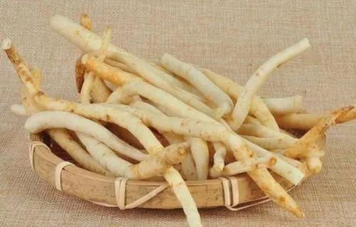 这五组中药名字仅一字之差,功效却天壤之别,日常养生别用错