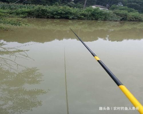 钓友们|夏季梅雨期降雨多难钓鱼，学会这三点技巧，梅雨期野钓不空军