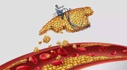 健康|血液太稠,担心高血脂,它们被称为血液清洁工,赶走血液里的垃圾