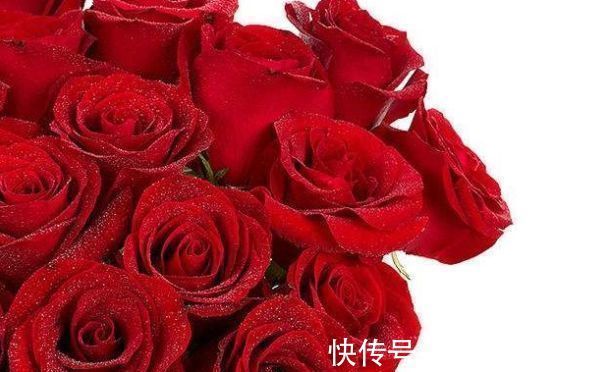 “珍稀玫瑰”卡罗拉,标准玫瑰红,高贵优雅,非常值得拥有