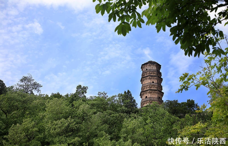 生态园|2021永寿槐花节开幕！逛槐林，咥美食，闻香而动，乡村美景在永寿