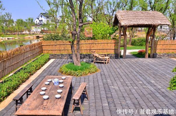 绣球花|乡村庭院设计,如果农村有房,干嘛住城里,建个这样的院子美翻了