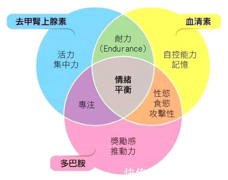 作业|李玫瑾:孩子放学回家写作业前,先让他去做一件事,学习效率更高