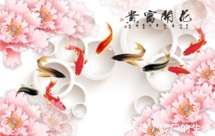 生肖|越胖越旺夫的三大生肖女, 娶了她让你步步为赢富贵一生