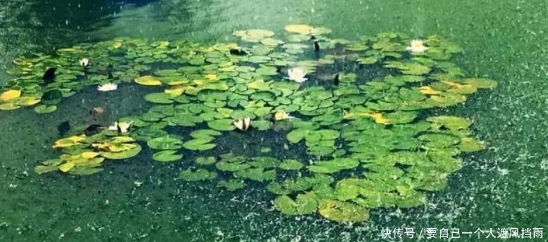 充满|李煜最有韵味的一首词,整首词处处充满忧愁,可是又没有一个愁字