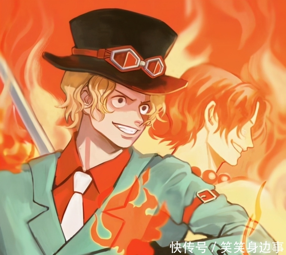 底蕴深厚,海贼王中革命军拥有8颗恶魔果实,有两颗是自然系?