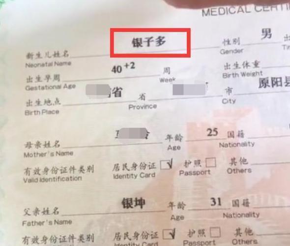 新生儿|爸爸姓“银”,给孩子取的名字目的性太强,长大了可别被笑话
