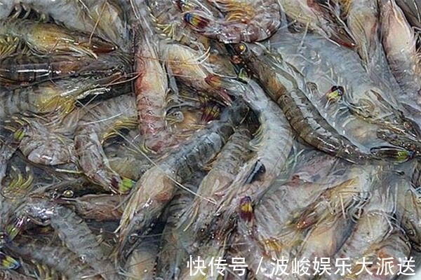 牛肝菌科|女性过了30,多食3种蔬菜,养颜补血,纤体瘦身,多吃身体好