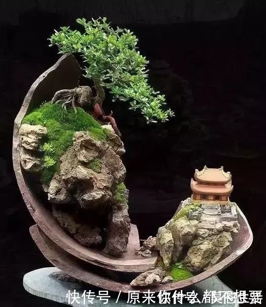 盆栽|世界上又一奢侈品《盆栽》一盆就是一座房子!