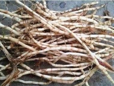 流鼻血|经常流鼻血？试试这个小方法，孩子也能用