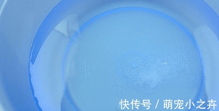 果农|吃葡萄时,用盐还是面粉洗好?果农:错,该这样洗,吃着才放心