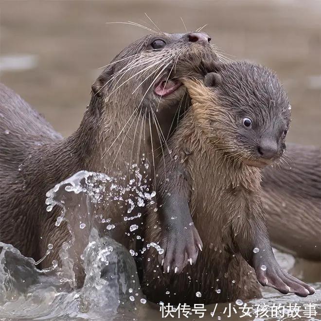 |【被窝段子20210910】好听的话别当真,难听的话别较真,认真你就输了