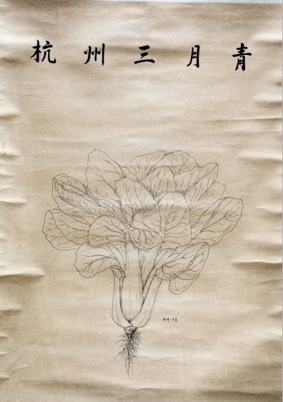 黄芽菜|震惊又感动！浙大老教授捐出200多幅画 满满都是爱