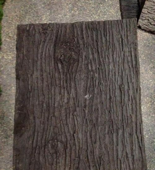 天然的生根液，路边捡几根，泡水或扔花土里，养啥都能爆盆