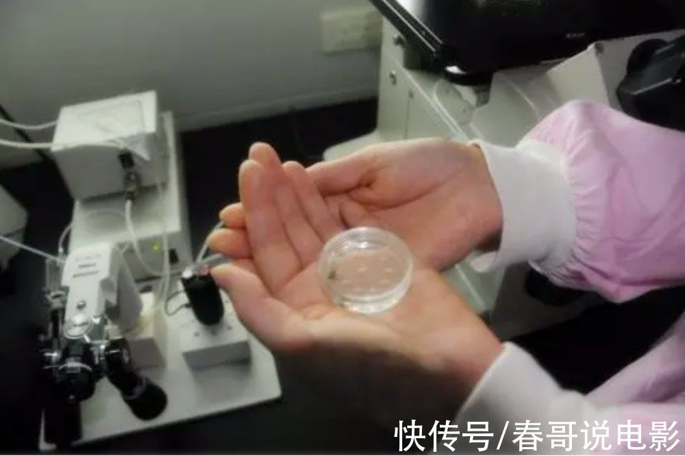 患癌率|试管婴儿有寿命、智力和健康的问题?大多是误解,只有一个是真的