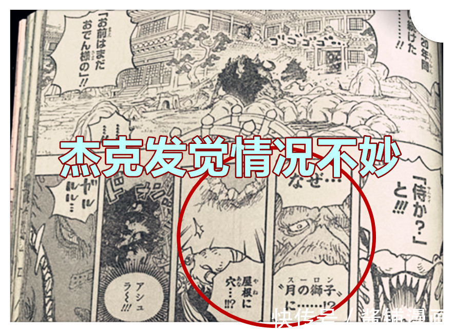 大看板|海贼王1023话，开挂的犬岚VS杰克半兽人形态，杰克被狠揍并流冷汗