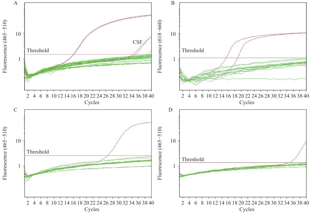 猴痘病毒|中国发现首例人类感染猴B病毒致死病例,患者为53岁男性兽医
