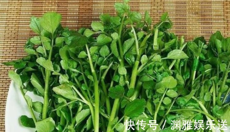 食物|聪明的人都在吃3种食物，补充营养、延缓衰老，早吃早好！