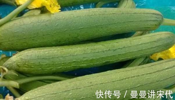 药用价值|老中医提醒丝瓜与它搭配,就是没病找病,却有很多人偏偏喜欢