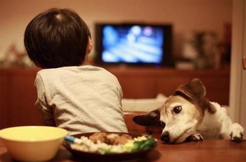 注意力|脑神经专家:3岁前看电视和不看电视的孩子,差距在7岁开始出现