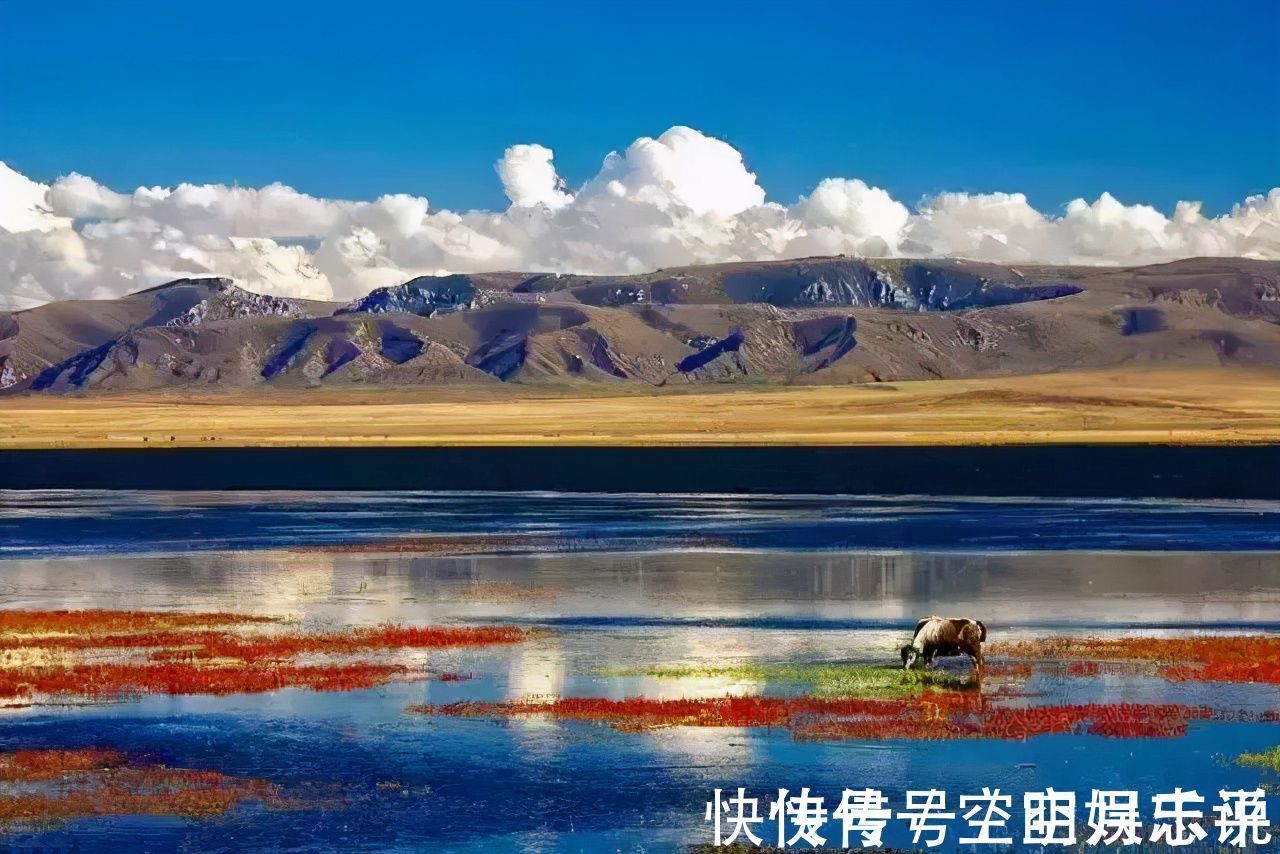 甘南|中国最治愈人心的八大旅行目的地，累了就挑一个出发