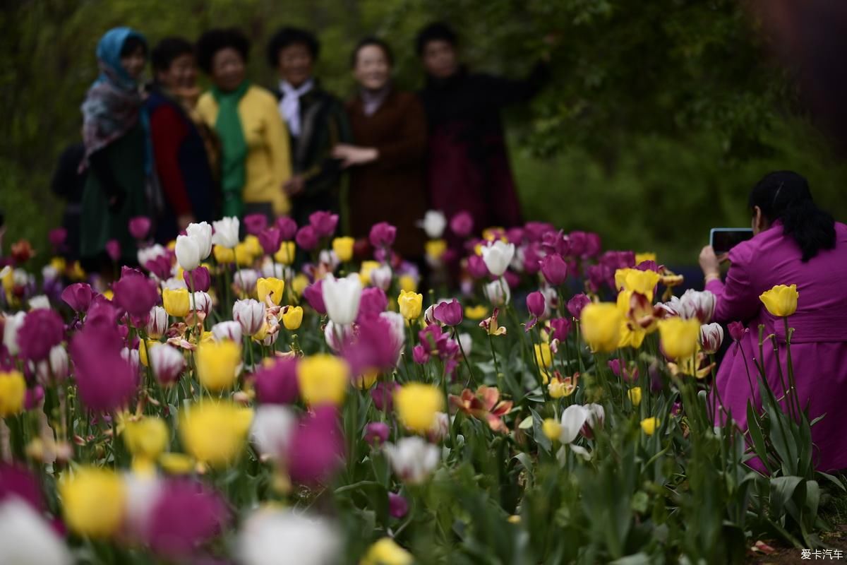 植物园姹紫嫣红是老人聚会的好地方【严建设】