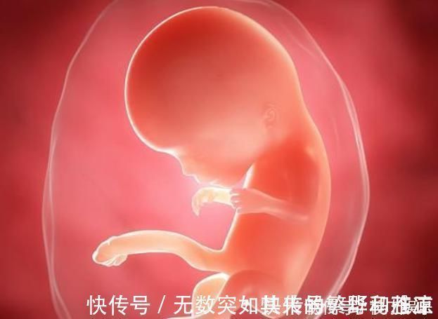 最高期|胎儿每月都有在发育，这5个成长“关键期”，错过就补不回来了
