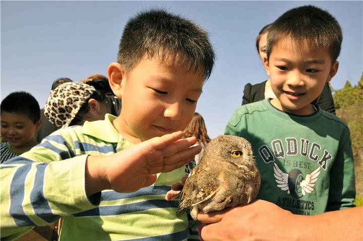 全域|长岛发布“研学旅行与社会实践课程”系统，打造全域研学实践岛