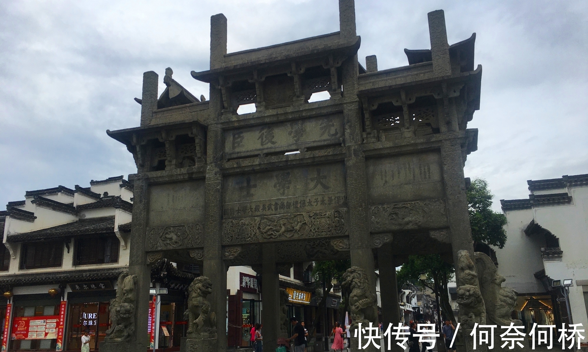 “铁树开花水倒流”，歙县徽园一株铁树开出罕见“牡丹状”粉色花