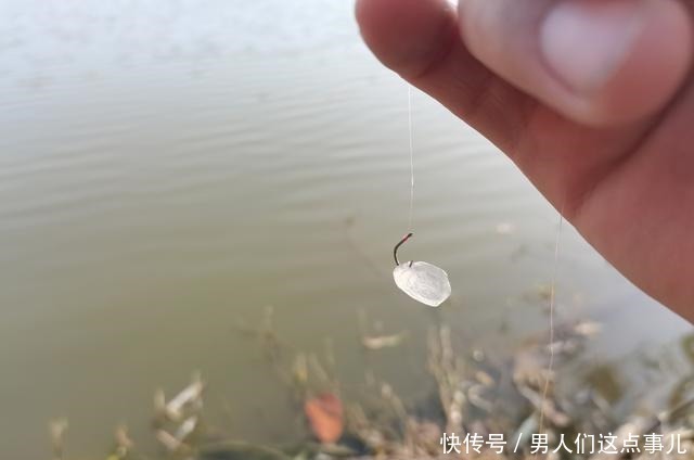 葡萄能钓鱼你别不信,鱼塘老板禁止使用,这是为什么