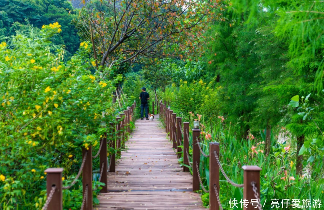 泡温泉|清远一家顶级温泉度假酒店，私藏千亩湿地公园，知道的人不到2%