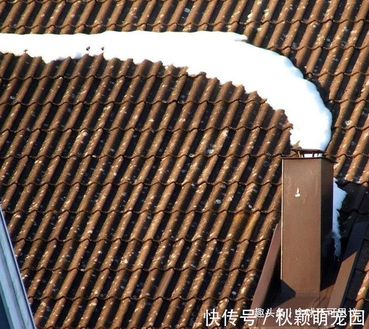疯狂事|如果没有被相机捕捉到,我们永远不会相信存在的19件疯狂事情