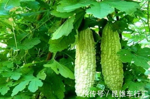 膳食纤维|女性想要身体好,常吃的食物,排出毒素,滋阴降火,增强体质