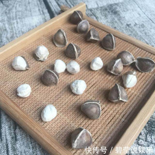 肝病|经常熬夜易患肝病,平日常吃这6样碱性食物,肝脏一天比一天好