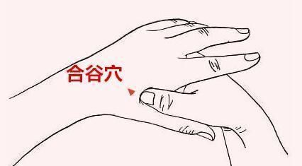 三穴|55岁后为长寿关键期,保“三处”,按“三穴”,长寿健康随之而来