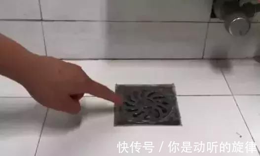 飞虫|下水道不干净怎么办用这几样东西,3年都不会再不干净了