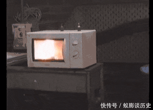 绝不能放进微波炉的10样东西,最后一个太意外