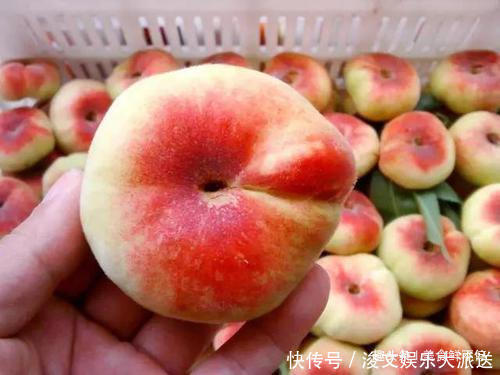桃子|买桃子就要挑“公”的,香甜又多汁,教你5个小窍门,一挑一个准