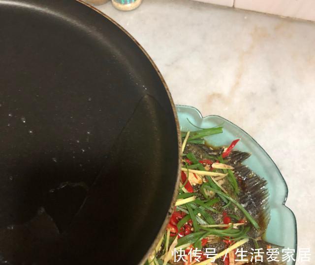 多宝鱼|清蒸多宝鱼,肉质鲜嫩,一点都不腥