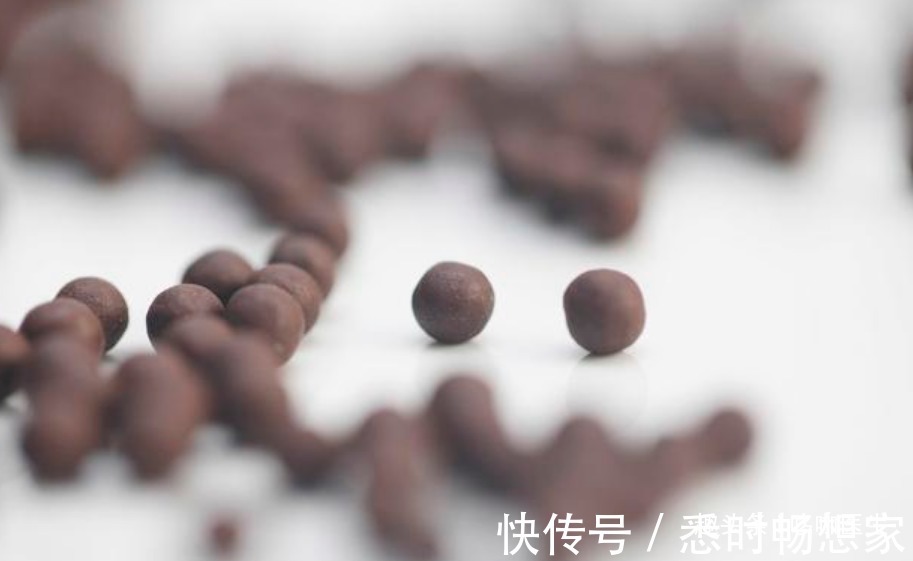 健脾|归脾丸能健脾养心,益气养血,适用于4种病症