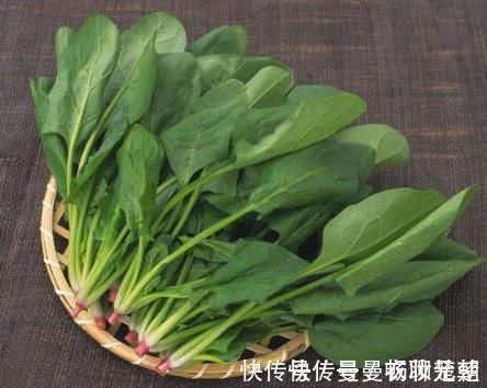 买菠菜，“圆叶”“尖叶”要分清，区别很大，买错不好吃还浪费钱