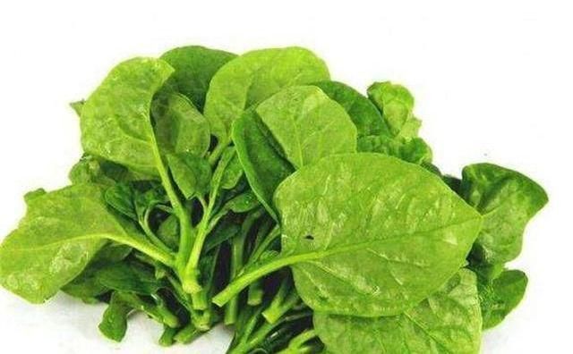 体质|长寿老人最爱吃3种食物,补充营养、改善体质,好处多多