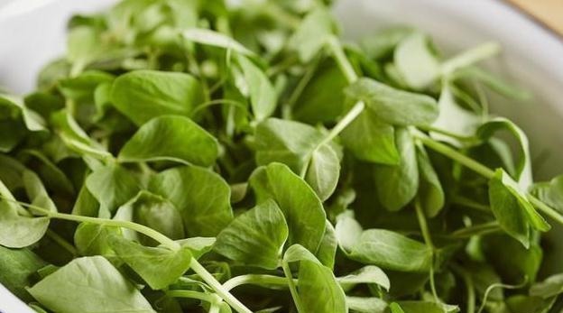 降血脂|1种豆类食物,每天吃点,降血脂、血管更年轻,看完快告诉家里人