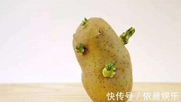 豆芽|生活中发现两种食物发芽后,大家一般都扔了,可真浪费