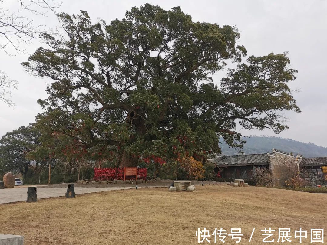 蒋昌忠$蒋昌忠 | 近期新作及南昌安义千年古村群印象