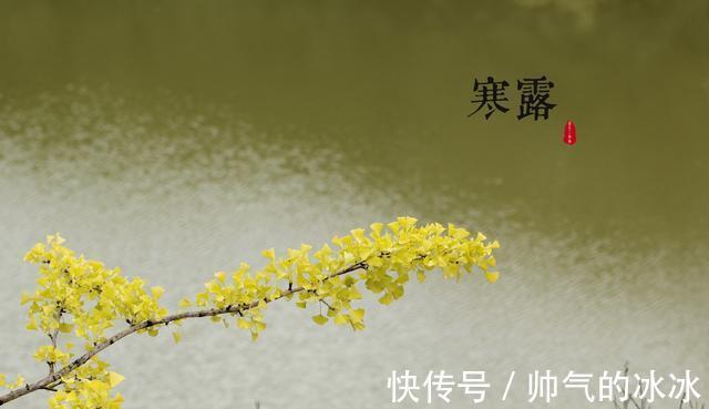 寒露之后钓鱼,这三个钓法要记牢,鱼获更有保障