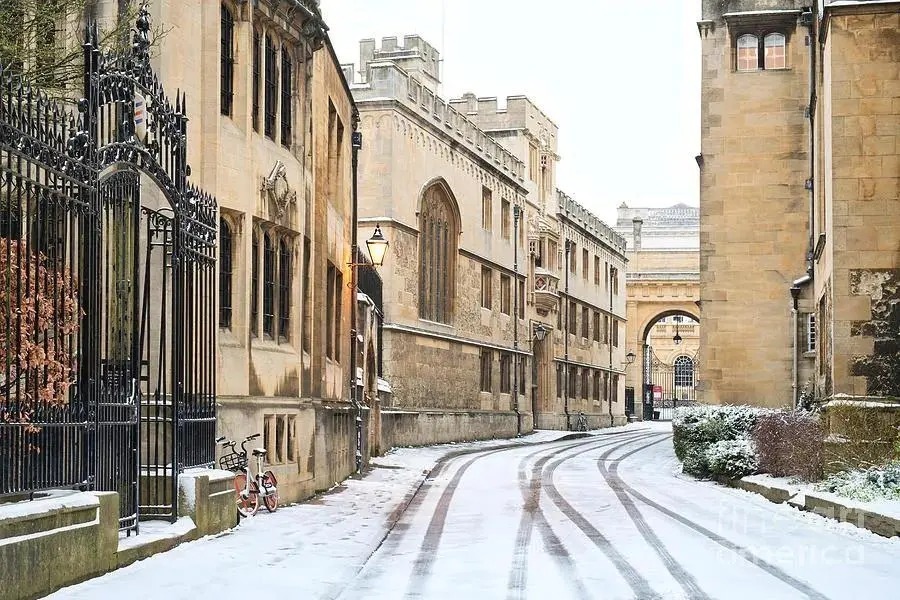 《2019/20学年英国高等教育大数据》：在校留学生最多的12所英国大学