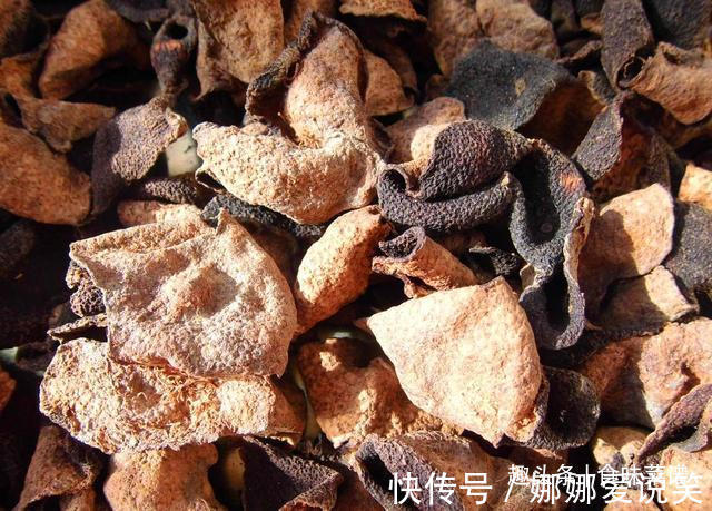 20种常见香料怎么用今天一次性告诉你!看完涨知识,建议收藏