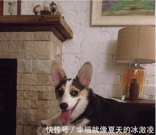 轻简|走进演员袁立的豪宅,家里没有一件现代化家具,真有一种穿越感